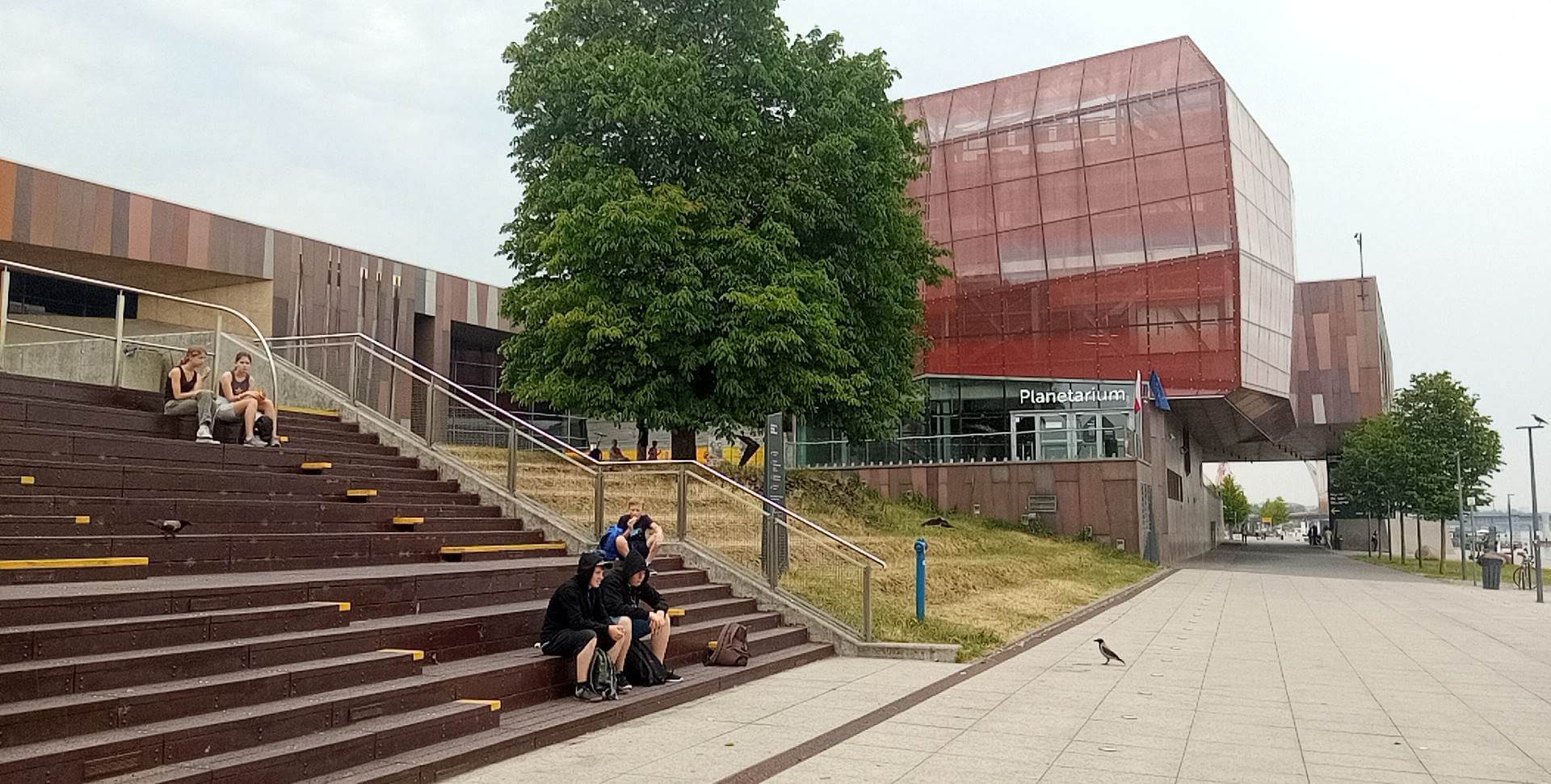 Wolontariusze w Warszawie